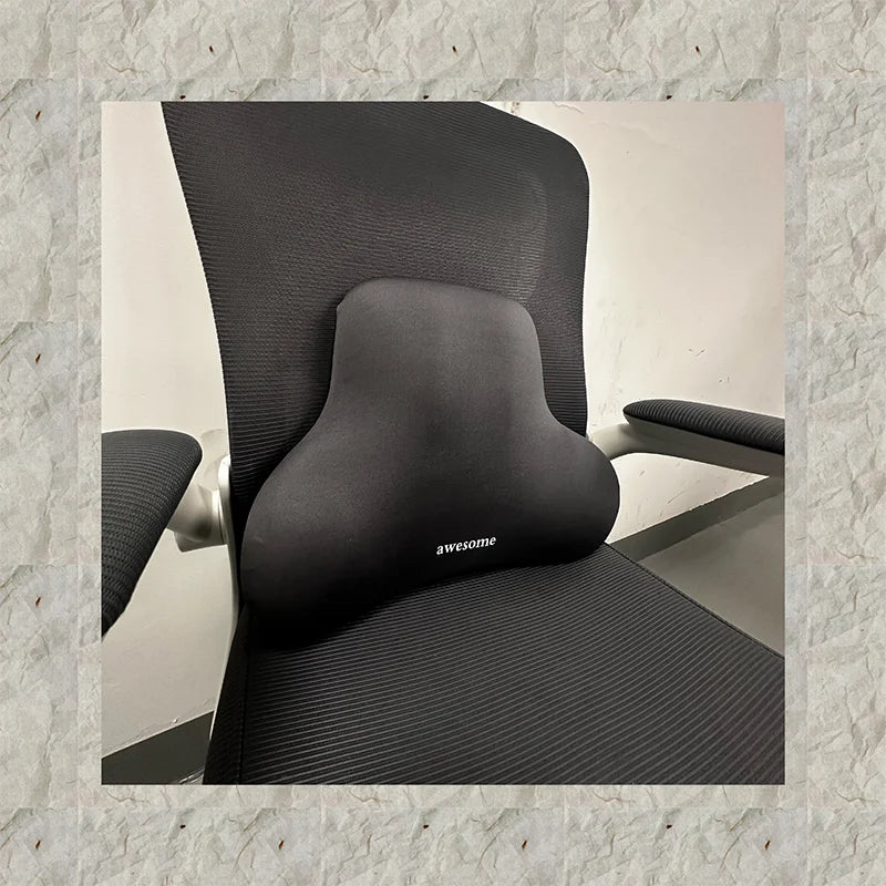 Flexstöd ryggkudde
